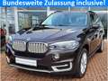 BMW X5 xDrive40d/HUD/StandHZG/AHK/Panodach/Navi/Leder Braun - thumbnail 1