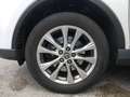 Toyota RAV 4 /Hybrid/Automatik/Kamera/LED/1. Hand Blanco - thumbnail 16