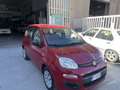 Fiat Panda Panda III 1.2 Pop 69cv E6 Rosso - thumbnail 3