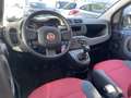 Fiat Panda Panda III 1.2 Pop 69cv E6 Rosso - thumbnail 8