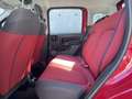 Fiat Panda Panda III 1.2 Pop 69cv E6 Rosso - thumbnail 11
