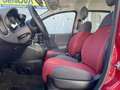 Fiat Panda Panda III 1.2 Pop 69cv E6 Rosso - thumbnail 7