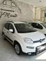 Fiat Panda Panda 1.0 firefly hybrid s Bianco - thumbnail 1