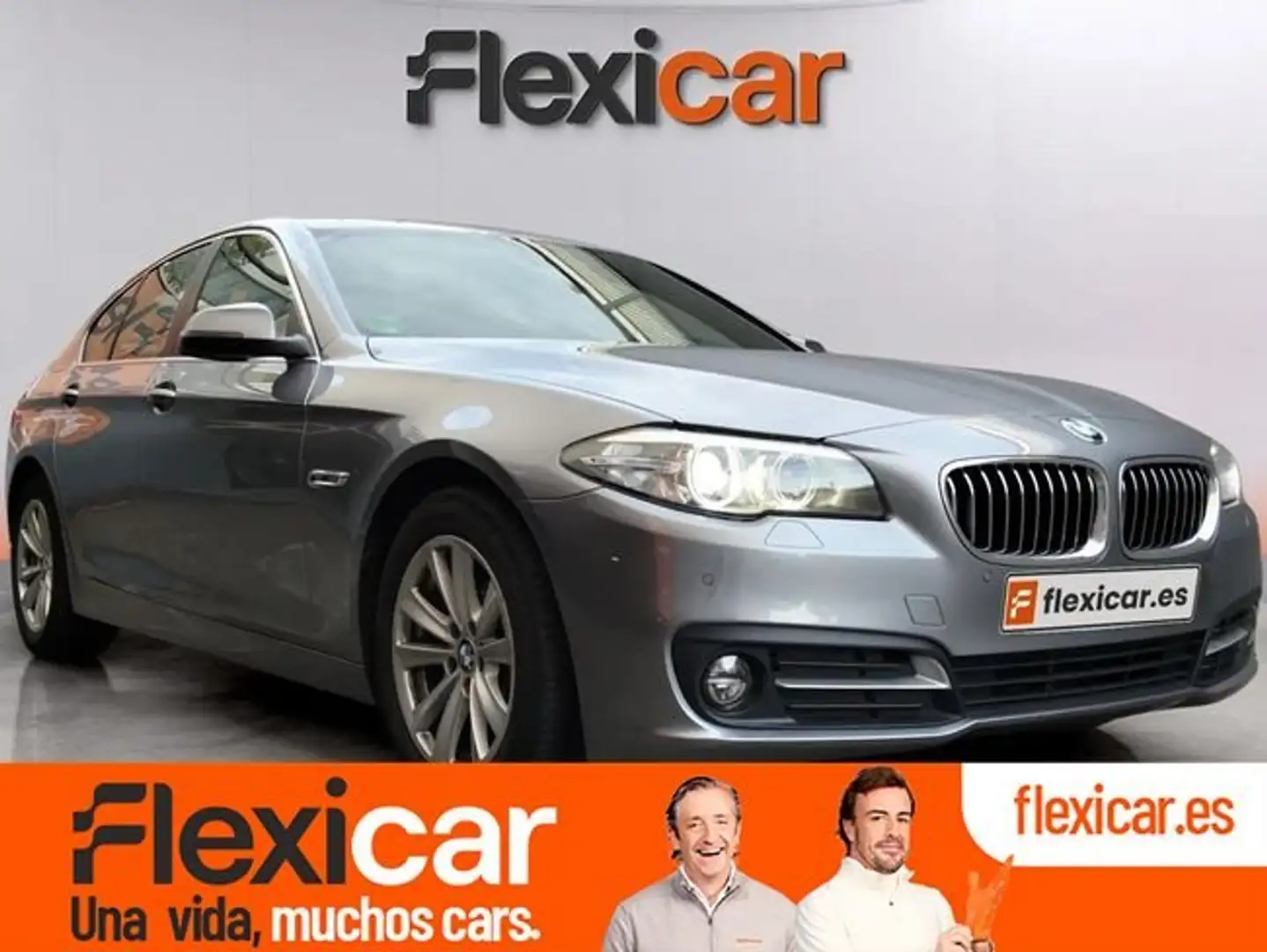 BMW 520 520d Gris - 1