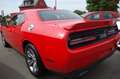 Dodge Challenger SXT 3,6L 24 V Coupe Orig. 3180 km Rot - thumbnail 8