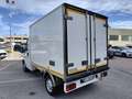 Fiat Ducato CABINATO CON CASSA FRIGO Alb - thumbnail 4