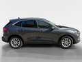 Ford Kuga 2,0 EcoBlue AWD Titanium Aut. Grau - thumbnail 6