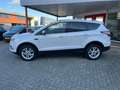 Ford Kuga 1.5 150PK EcoBoost Titanium parelmoer Trekhaak/Nav Blanc - thumbnail 2