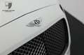 Bentley Continental GTC Continental GTC Speed Mulliner Premier/Carbon Alb - thumbnail 12