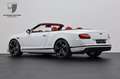 Bentley Continental GTC Continental GTC Speed Mulliner Premier/Carbon Alb - thumbnail 7