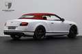 Bentley Continental GTC Continental GTC Speed Mulliner Premier/Carbon Alb - thumbnail 5