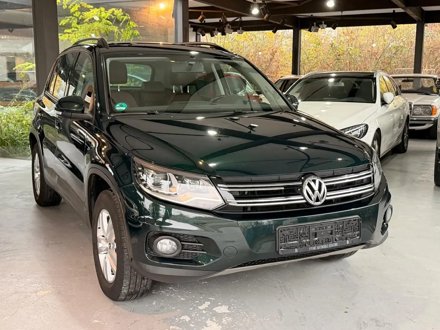 Volkswagen Tiguan Track & Field 4Motion-Pano-Leder-SHZ Grün - 1