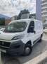 Fiat Ducato L1 - thumbnail 2