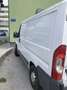 Fiat Ducato L1 - thumbnail 6