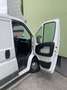Fiat Ducato L1 - thumbnail 8