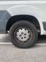 Fiat Ducato L1 - thumbnail 10