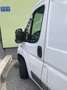 Fiat Ducato L1 - thumbnail 5