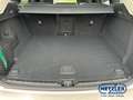 Volvo XC60 Plus Dark AWD B5 Benzin EU6e El. Panodach Leder Di Beige - thumbnail 12