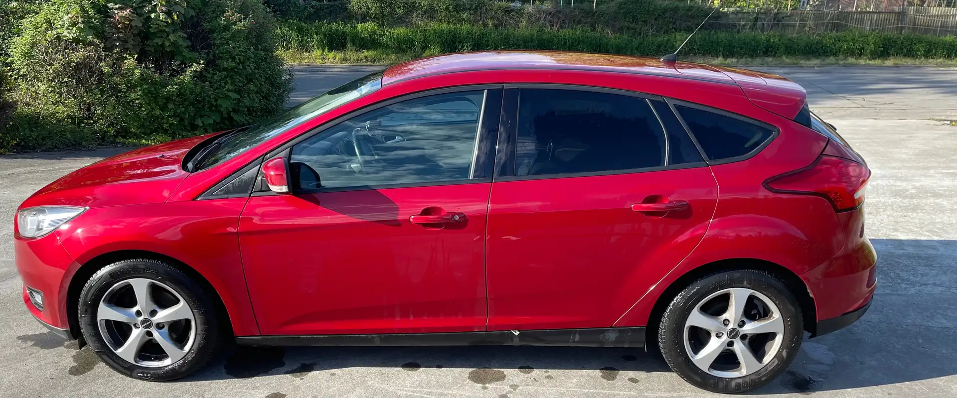 Ford Focus 1.5 TDCi ECOnetic Business Edition Rouge - 2