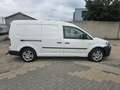 Volkswagen Caddy 1.6 TDI Maxi,Apk,Nap,L2H1 Weiß - thumbnail 6