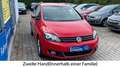 Volkswagen Golf Plus Golf VI Plus Style/Sitzheizung/Garantie Rojo - thumbnail 4