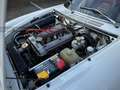 Alfa Romeo Spider 2000 Spider Veloce | Biancospino | 93.250 km's Bianco - thumbnail 13
