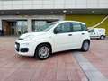 Fiat Panda Panda III 2016 1.0 hybrid Easy Connect s Bianco - thumbnail 1
