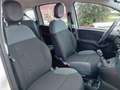 Fiat Panda Panda III 2016 1.0 hybrid Easy Connect s Bianco - thumbnail 15