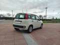 Fiat Panda Panda III 2016 1.0 hybrid Easy Connect s Bianco - thumbnail 3