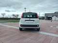 Fiat Panda Panda III 2016 1.0 hybrid Easy Connect s Bianco - thumbnail 6