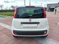 Fiat Panda Panda III 2016 1.0 hybrid Easy Connect s Bianco - thumbnail 7