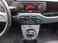 Fiat Panda Panda III 2016 1.0 hybrid Easy Connect s Blanco - thumbnail 21