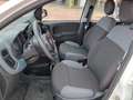 Fiat Panda Panda III 2016 1.0 hybrid Easy Connect s Bianco - thumbnail 12