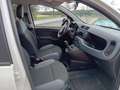 Fiat Panda Panda III 2016 1.0 hybrid Easy Connect s Bianco - thumbnail 14