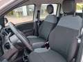 Fiat Panda Panda III 2016 1.0 hybrid Easy Connect s Bianco - thumbnail 13