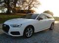 Audi A4 Avant 30 TDI Sports / Matrix / Virtual / Mod 23... Weiß - thumbnail 3