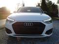 Audi A4 Avant 30 TDI Sports / Matrix / Virtual / Mod 23... Weiß - thumbnail 11