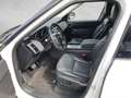 Land Rover Discovery 5 2,0 TD4 SE Aut. Blanc - thumbnail 7