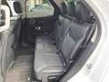 Land Rover Discovery 5 2,0 TD4 SE Aut. Blanc - thumbnail 16