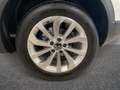 Volkswagen T-Roc Nuovo 2.0 TDI SCR EDITION PLUS 115CV MY 25 Bianco - thumbnail 6
