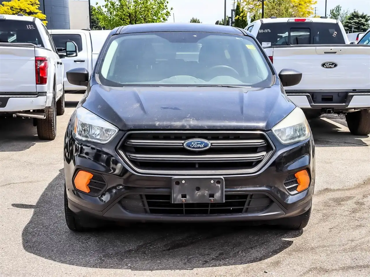 Ford Escape fotografie Ford Escape