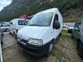 Fiat Ducato maxi 2.8 jtd p.l. GV 3007112 Blanc - thumbnail 1