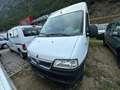 Fiat Ducato maxi 2.8 jtd p.l. GV 3007112 Blanc - thumbnail 2