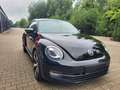 Volkswagen Beetle The Beetle 1.2 TSI CUP Schwarz - thumbnail 3