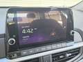 Kia Picanto 1.0 12V 5 porte Urban Metallizzata con BONUS EASY Gris - thumbnail 18