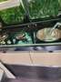 Mercedes-Benz Marco Polo Marco Polo 250 d lang 4MATIC Aut. Schwarz - thumbnail 8