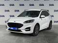 Ford Kuga 1.5 120CV 2WD ST-Line Bianco - thumbnail 1