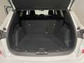 Ford Kuga 1.5 120CV 2WD ST-Line Bianco - thumbnail 11