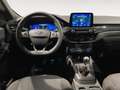 Ford Kuga 1.5 120CV 2WD ST-Line Bianco - thumbnail 8