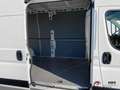Citroen Jumper 35 L3H2 Control BlueHDi 140 Start MwSt ausweisbar Blanc - thumbnail 8